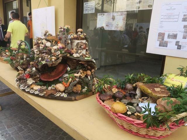 Festeggiamenti in Borgo Loreto: torna “Funghi in Piazza” il 4 e 5 settembre 2021