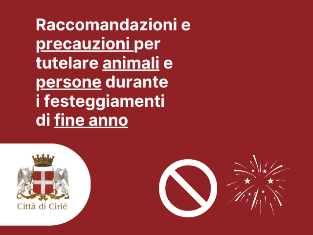 Raccomandazioni per la tutela delle persone e degli animali nell’utilizzo di artifici pirotecnici per i festeggiamenti di fine anno 