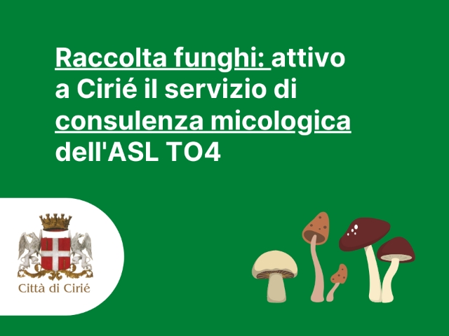 Raccolta funghi: attivo a Cirié il servizio di consulenza micologica dell'ASL TO4