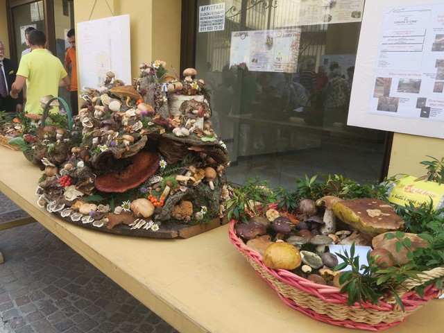 Festeggiamenti in Borgo Loreto: torna “Funghi in Piazza” dal 6 al 10 settembre 2019
